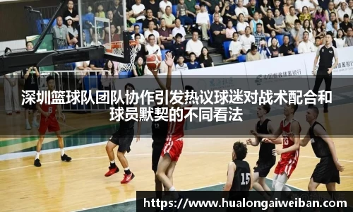 深圳篮球队团队协作引发热议球迷对战术配合和球员默契的不同看法
